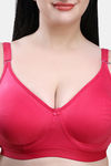 Maroon Clothing Double Layered Non Wired Full Coverage T-Shirt Bra (Pack of 2) - Multicolor — thumbnail 5